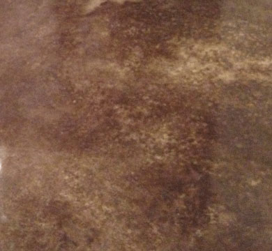 Stained Concrete Styles